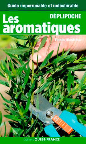 Les aromatiques : fiches illustrées Les aromatiques : fiches illustrées