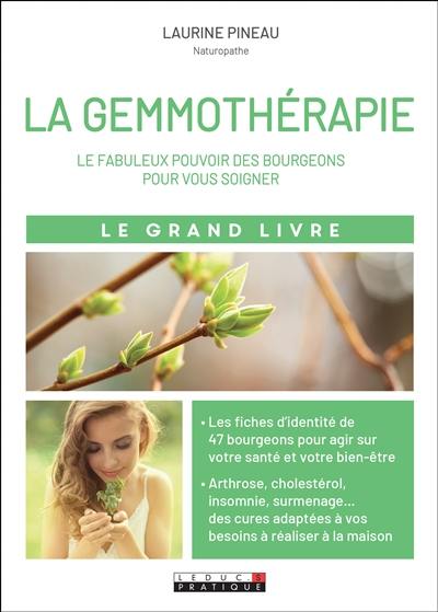 Le grand livre de la gemmothérapie : le fabuleux pouvoir des bourgeons pour vous soigner : arthrose, cholestérol, insomnies, surmenage... les bourgeons sont vos alliés santé et bien-être