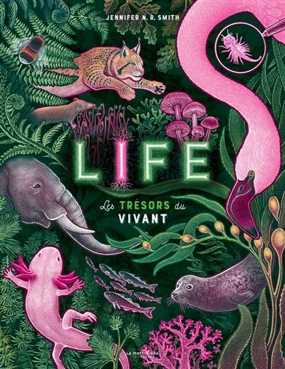 Life : les trésors du vivant Life : les trésors du vivant