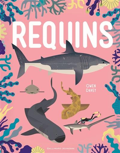 Requins Requins