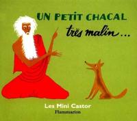 Un petit chacal très malin