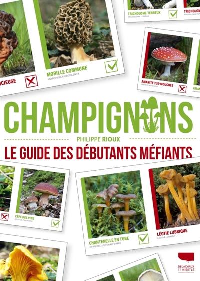 Champignons : le guide des débutants méfiants Champignons : le guide des débutants méfiants
