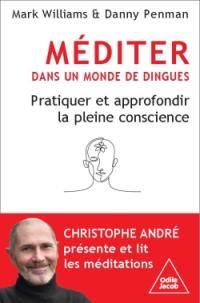 Méditer dans un monde de dingue : pratiquer et approfondir la pleine conscience