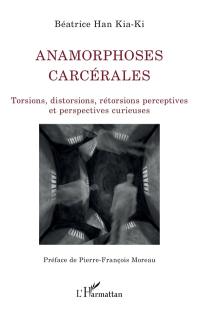 Anamorphoses carcérales : torsions, distorsions, rétorsions perceptives et perspectives curieuses