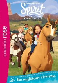 Spirit : au galop en toute liberté. Vol. 21. Une mystérieuse sécheresse