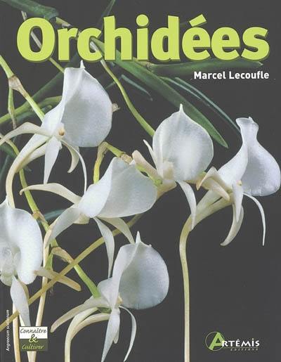 Orchidées Orchidées