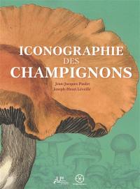 Iconographie des champignons