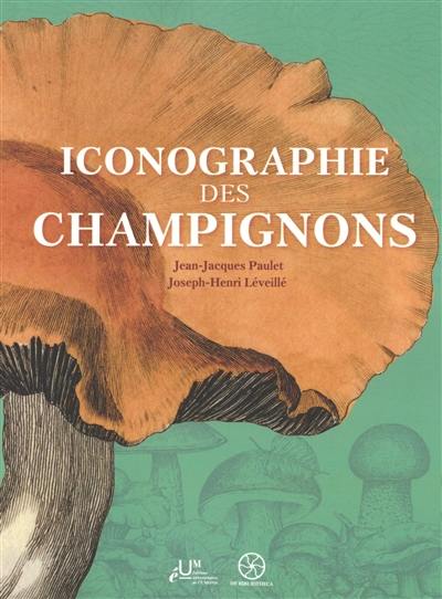 Iconographie des champignons
