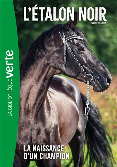 L'étalon noir. Vol. 19. La naissance d'un champion