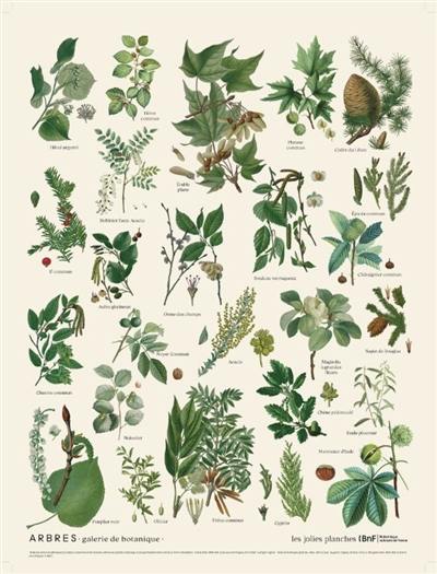 Arbres : galerie de botanique