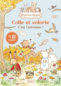 C'est l'automne ! : colle et colorie