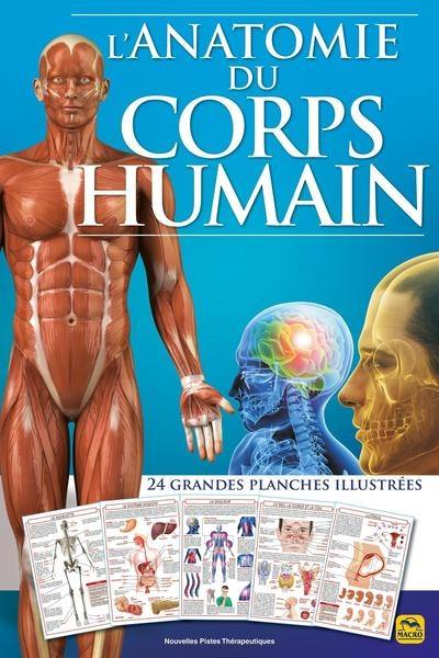 L'anatomie du corps humain : 24 grandes planches illustrées L'anatomie du corps humain : 24 grandes planches illustrées