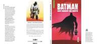Batman : last knight on earth
