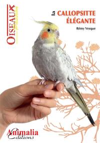 La calopsitte élégante : nymphicus hollandicus