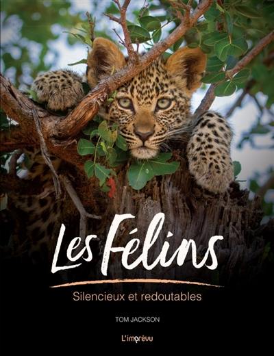 Les félins : silencieux et redoutables