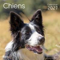 Chiens : calendrier 2027