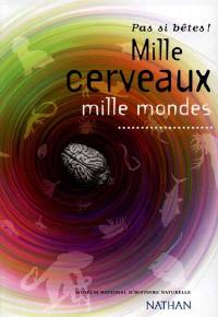 Mille cerveaux, mille mondes : pas si bêtes !