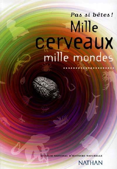 Mille cerveaux, mille mondes : pas si bêtes !