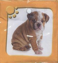 Bébés animaux : livre tissu