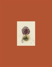 Coffret arbres