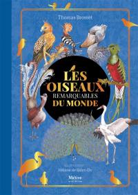 Les oiseaux remarquables du monde