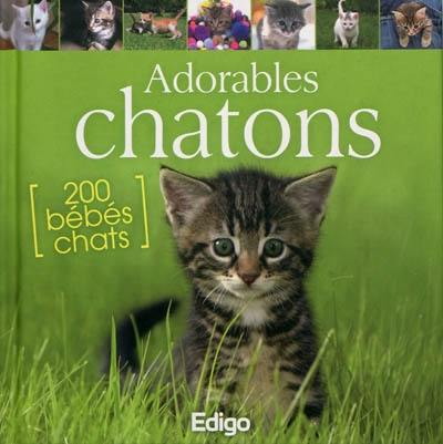 Adorables chatons Adorables chatons