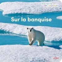 Sur la banquise