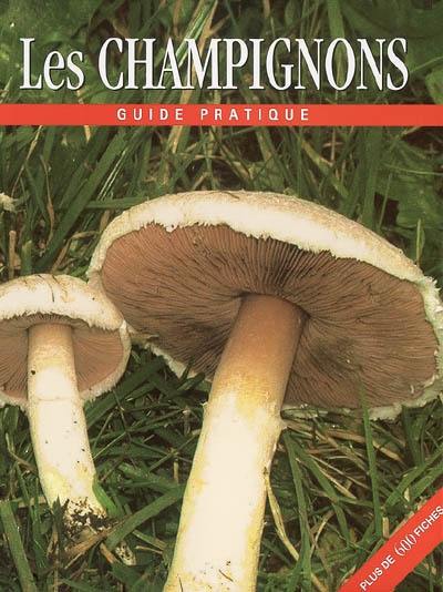Découvrez Les Champignons Le Livre De Till Reinhard Lohmeyer Et Ute Künkele Chez Parragon - 