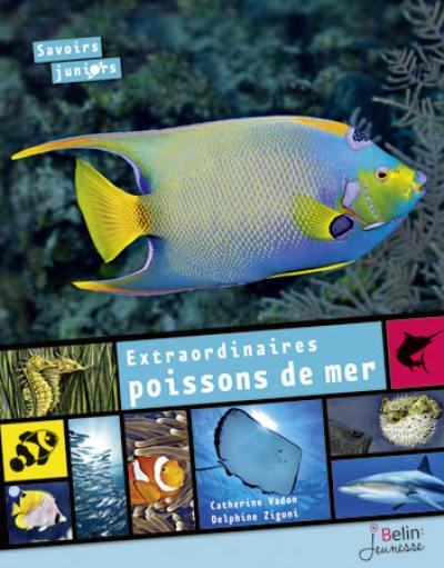 Extraordinaires poissons de mer