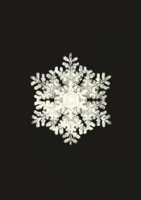 Flocons de neige : carnet Flocons de neige : carnet