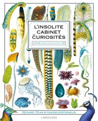 Insolite cabinet de curiosité