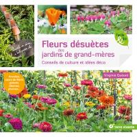 Fleurs désuètes des jardins de grand-mères : conseils de culture et idées déco