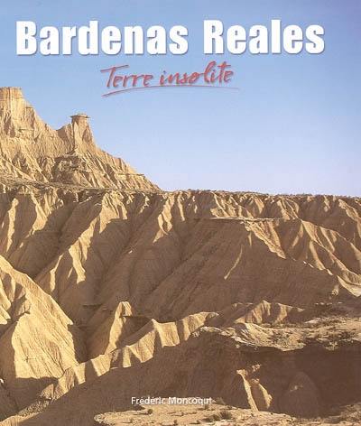 Bardenas Reales : terre insolite