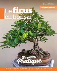 Le ficus en bonsaï : le guide pratique pour cultiver, former et soigner les ficus