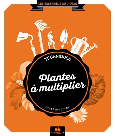 Plantes à multiplier : toutes les techniques étape par étape Plantes à multiplier : toutes les techniques étape par étape
