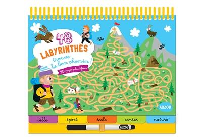 48 labyrinthes : trouve le bon chemin !