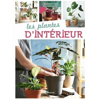 Les plantes d'intérieur Les plantes d'intérieur