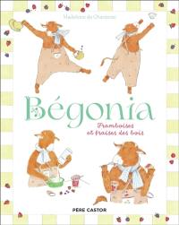 Bégonia : framboises et fraises des bois