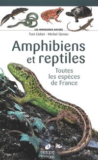 Amphibiens et reptiles : toutes les espèces de France