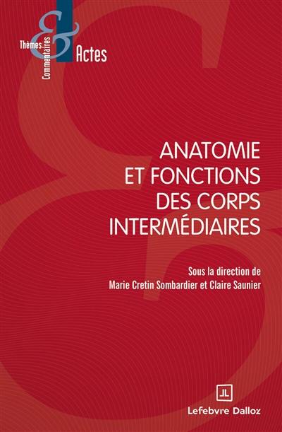 Anatomie et fonctions des corps intermédiaires Anatomie et fonctions des corps intermédiaires