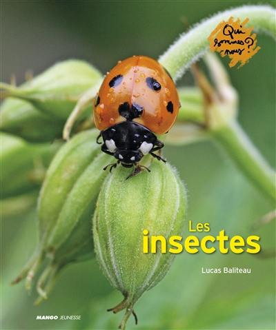 Les insectes Les insectes