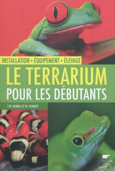 Le terrarium pour les débutants : installation, équipement, élevage