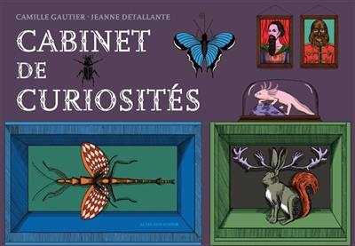Cabinet de curiosités Cabinet de curiosités
