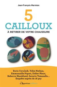 5 cailloux à retirer de votre chaussure : Boris Cyrulnik, Tobie Nathan, Emmanuelle Piquet, Didier Pleux, Rebecca Shankland, Saverio Tomasella... : enquête auprès de 18 psy