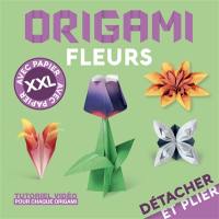 Origami fleurs : avec papier XXL
