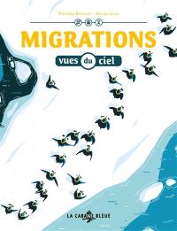 Migrations vues du ciel