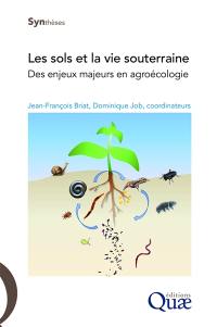 Les sols et la vie souterraine : des enjeux majeurs en agroécologie