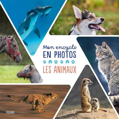 Les animaux : mon encyclo en photos Les animaux : mon encyclo en photos