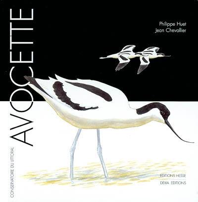 Avocette Avocette