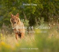 Aliens en Alsace : bêtes et plantes invasives